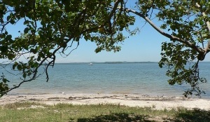 Calm on the Seashore