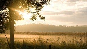 Sunset in the Country